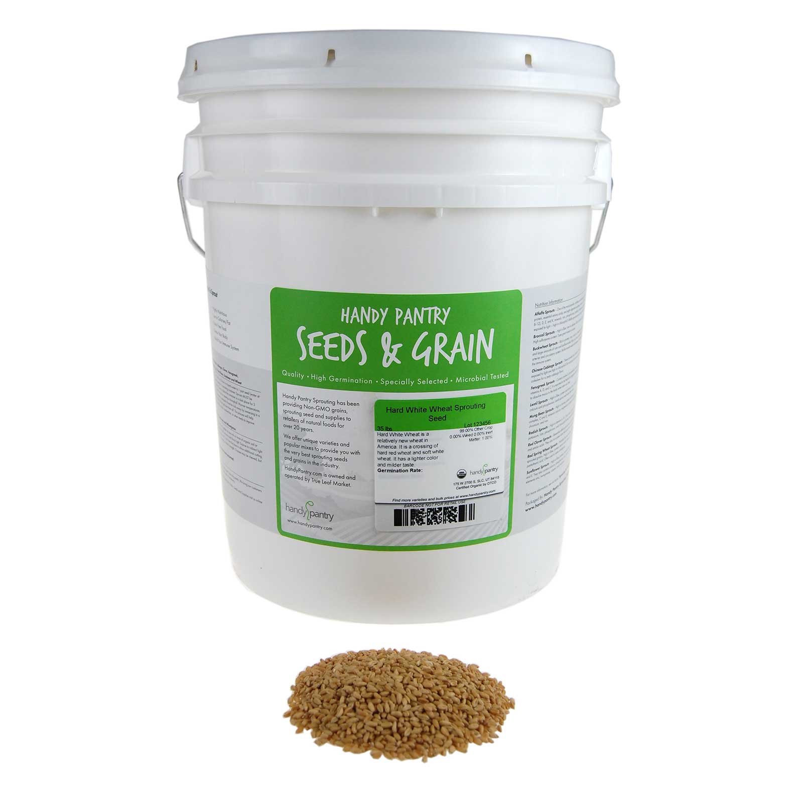 35 Lb Bulk Non-GMO Organic Hard White Wheat Kernels - Whole Wheat Grain & Heirloom Seeds for Sprouting, Wheatgrass, Bread Making | Perfect for Home Baking, Healthy Smoothies & Organic Gardening
