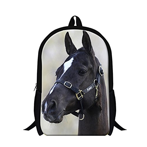 Horse10