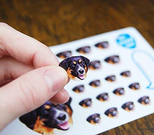 Custom Photo Stickers & Pet Face Stickers - Personalized Dog & Cat Stickers Sampler Sheet | Perfect for Pet Lovers, Scrapbooking, DIY Crafts & Gift Giving