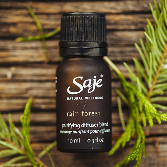 Rain Forest Essential Oil Diffuser Blend - Natural Aromatherapy for Relaxation & Stress Relief - Perfect for Home, Office & Spa Use