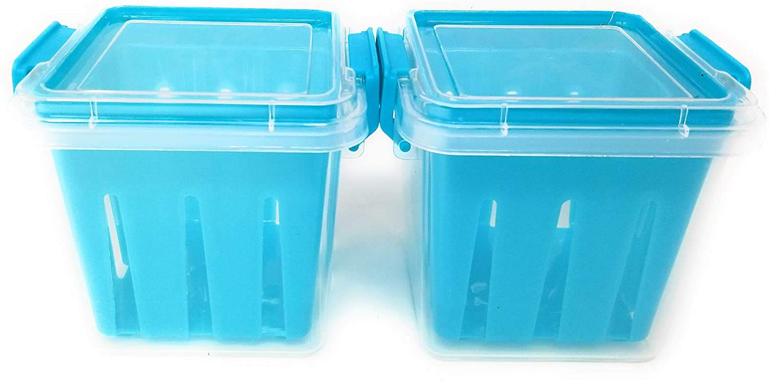 BPA-Free 2-Pack Fruit and Vegetable Storage Containers | Airtight Food Keepers for Fresh Produce | Perfect for Kitchen, Fridge & Meal Prep (Teal/Light Blue)