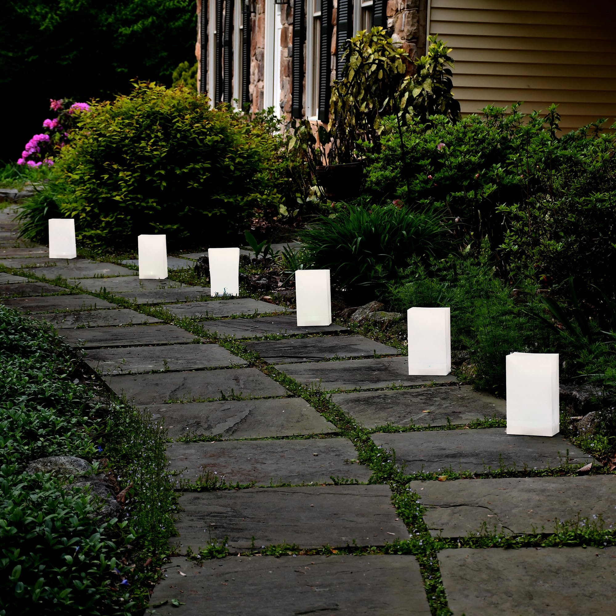 LumaBase 77006 Battery Operated Timer Luminaria Kit - White Outdoor Christmas Light Timer for Holiday Decorations & Pathway Lighting