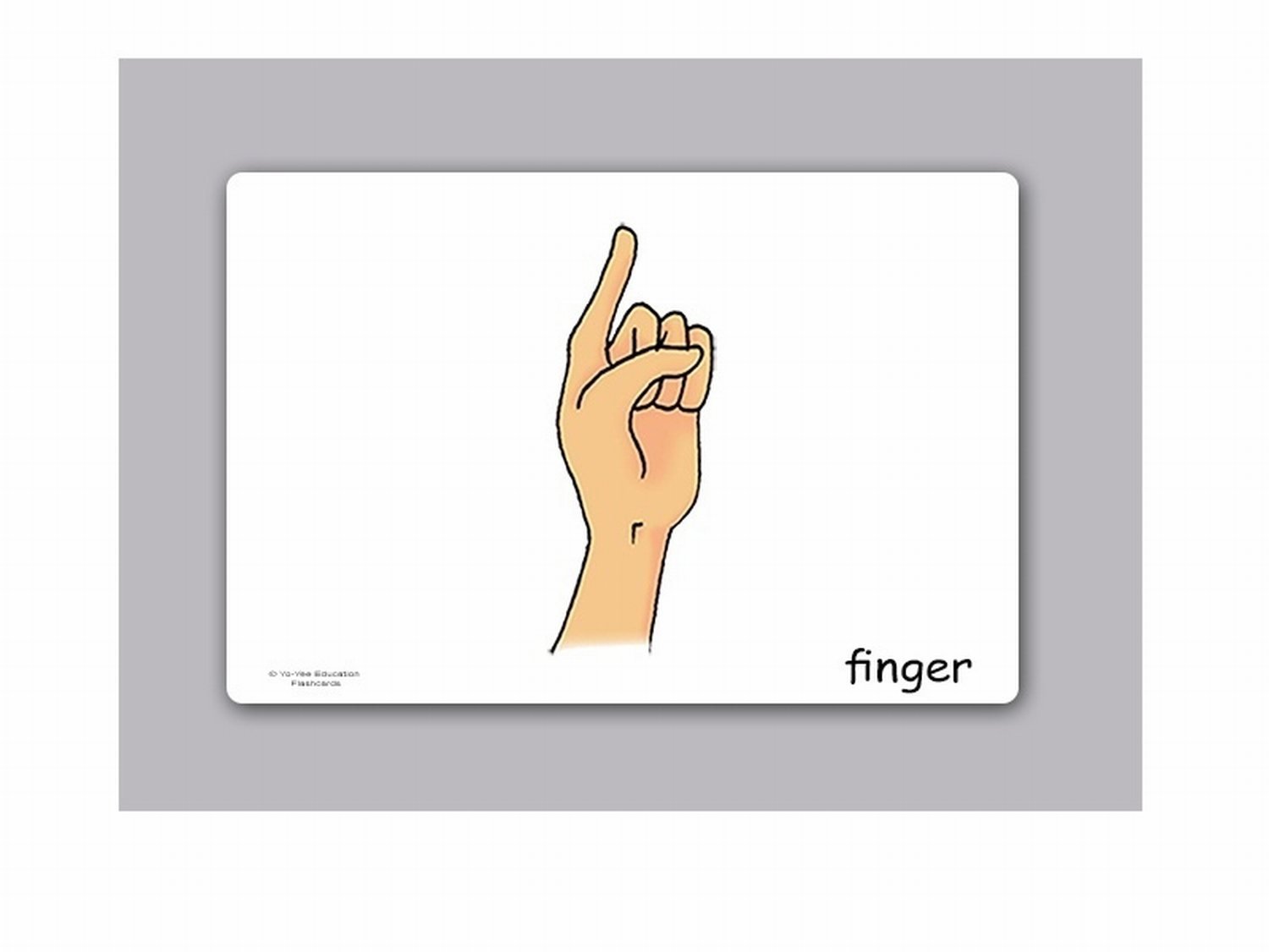 Body Parts Flash Cards & Bingo Game Set - English Vocabulary Learning Cards for Babies, Toddlers & Kids (5.83×8.27in) - Perfect for Homeschooling, Classroom & Early Childhood Education