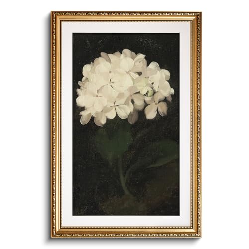 White Hydrangea