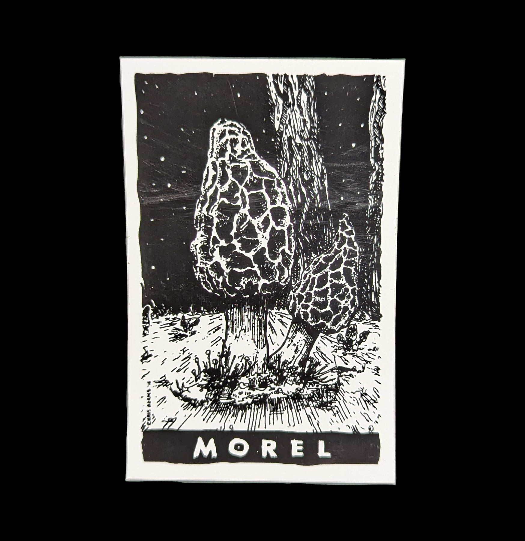 Premium Morel Mushroom Stickers - Waterproof Vinyl Decals for Laptops, Water Bottles & Outdoor Gear - Nature Lover Gifts