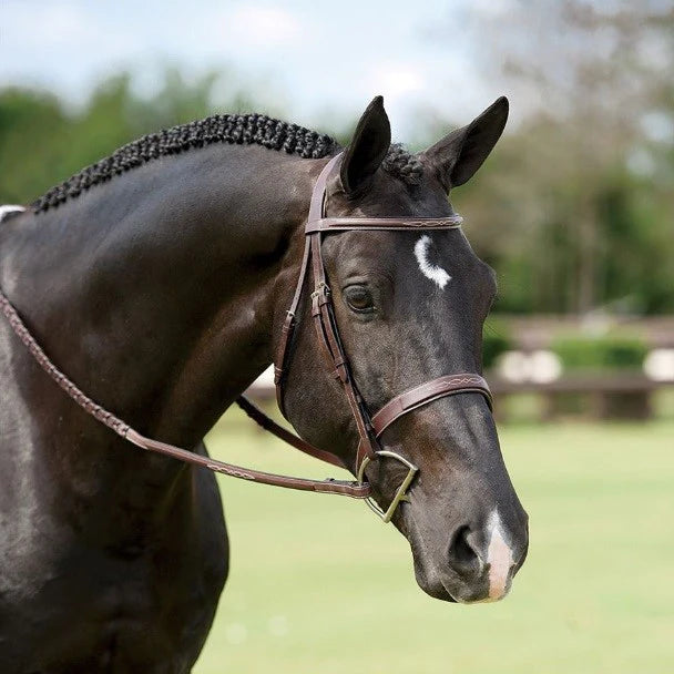 Dy'on Wide Nose Anatomic Hunter Bridle - Comfortable Equestrian Bridle for Horses with Wide Noses | Perfect for Show Jumping, Dressage & Trail Riding
