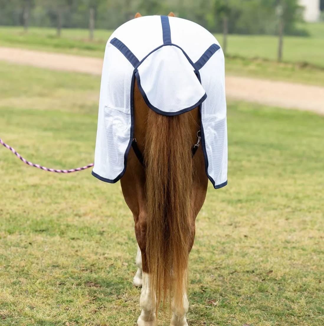 Reinsman Circle Y Breathable Mesh Fly Sheet for Horses – Lightweight, Comfortable & Durable Horse Fly Protection (81