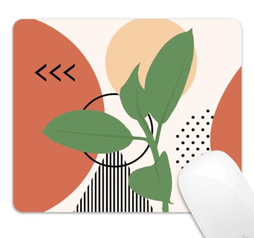 Mid Century Modern Plant