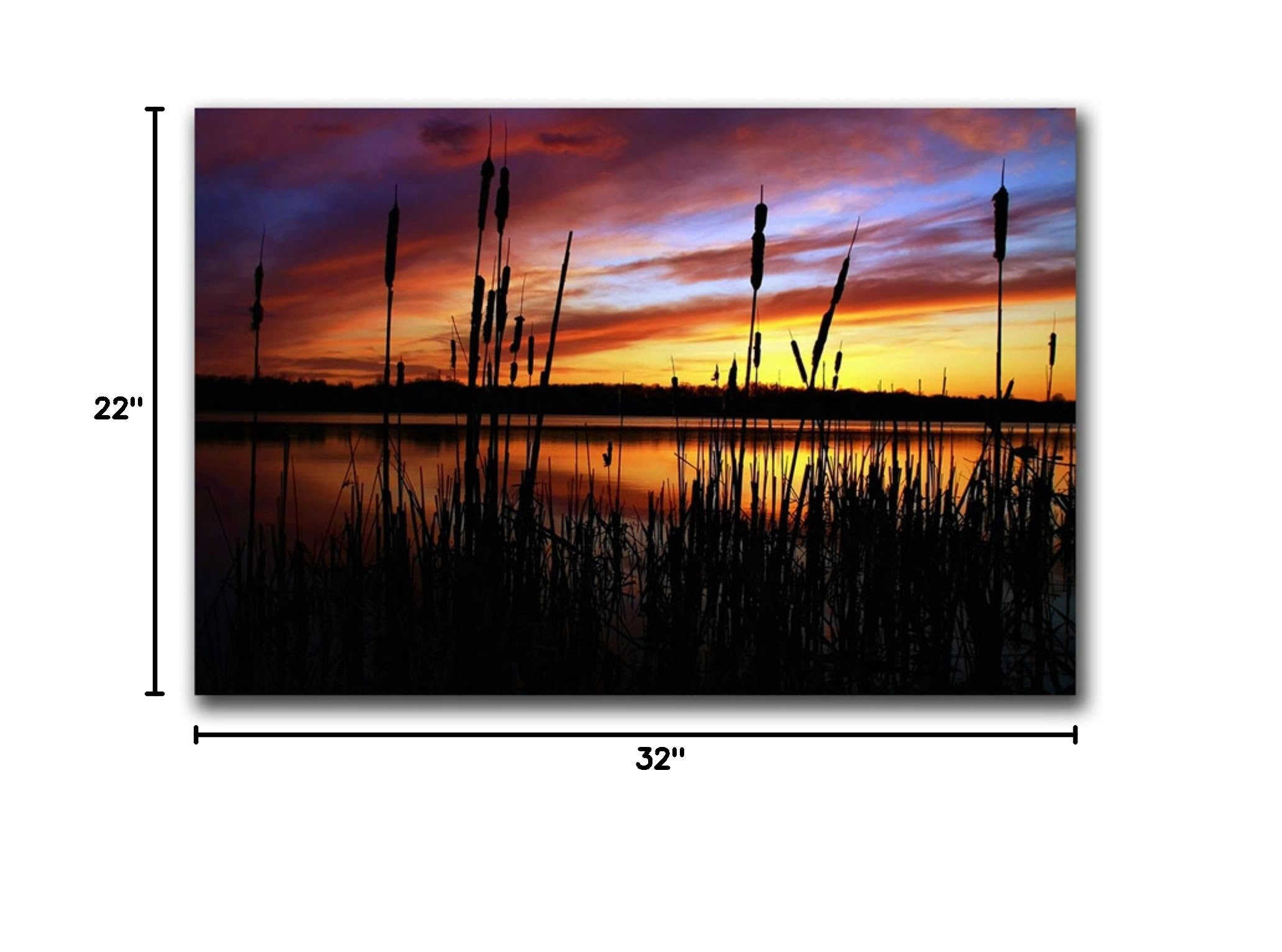 Trademark Fine Art Principles Canvas Art by CATeyes - 22x32 Inches - Perfect for Living Room, Bedroom & Office Wall Decor