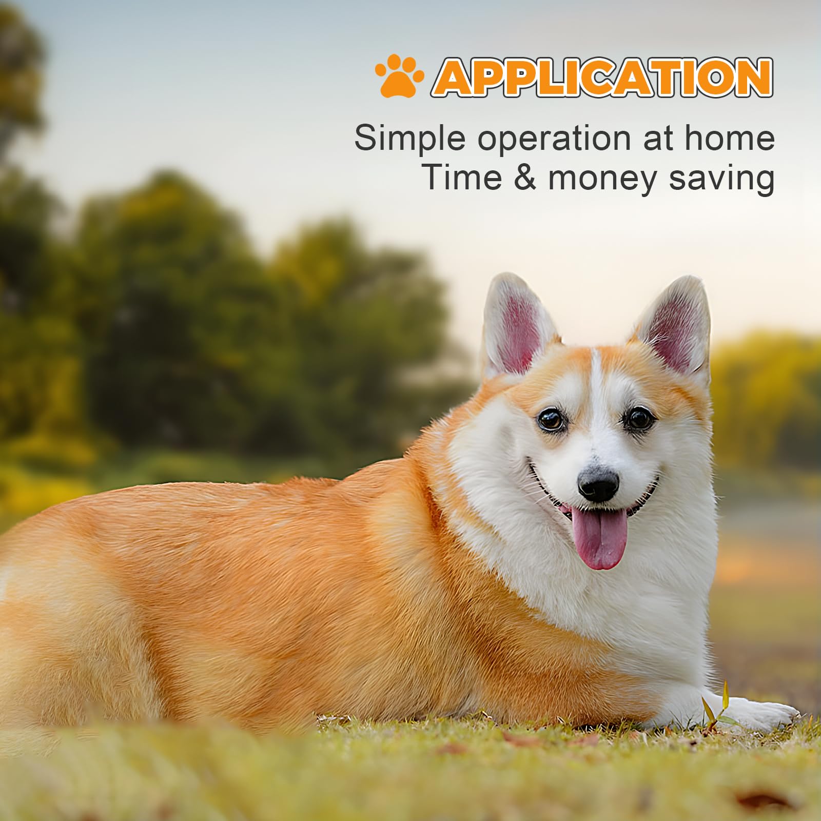 **Dog Ovulation & Pregnancy Test Kit - Portable Canine Progesterone Tester with English Manual for Home Use | Ideal for Breeders & Pet Owners**    *(Use Case: Accurately track your dog's ovulation cycle, confirm pregnancy early, and ensure successful breeding at home with this easy-to-use progesterone test kit.)*