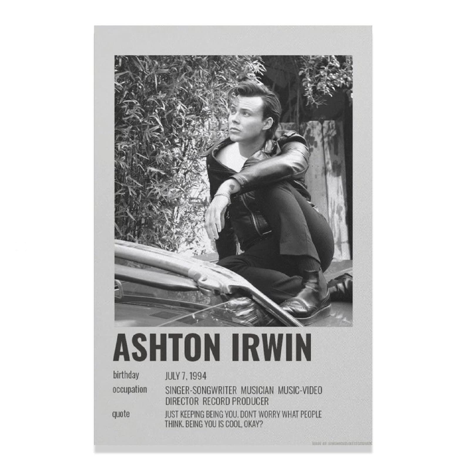 Ashton Irwin Singer Canvas Poster - 30x45cm (12x18 inches) Unframed Wall Art for Bedroom, Office, Living Room Decor - Perfect Gift for Music & Sports Fans