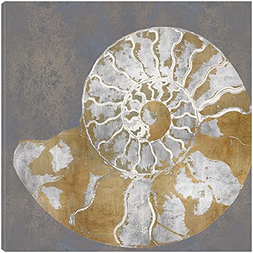 Nautilus II