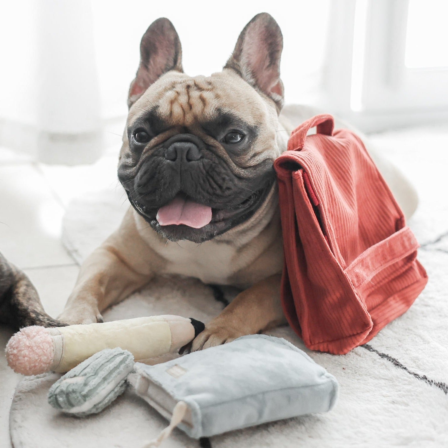 Back To School Essentials - Top Supplies for Students & Teachers | Perfect for Classrooms, Homework & Study Sessions