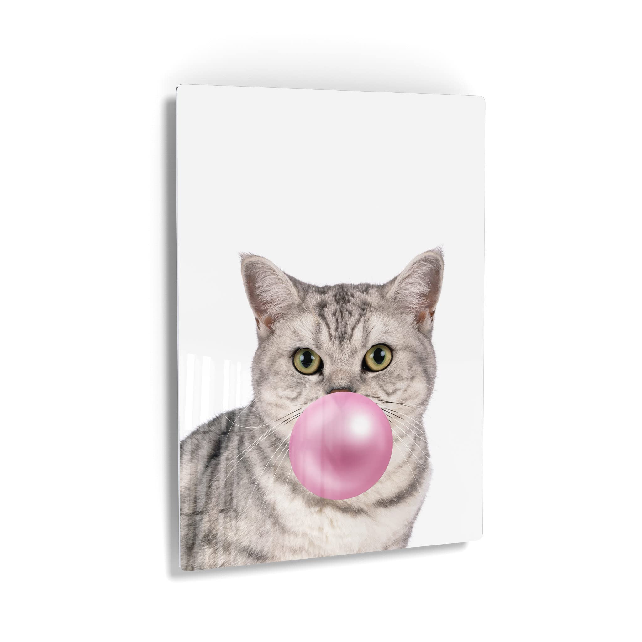 Brazilian Shorthair Cat Chewing Bubble Gum Metal Wall Art Print - 36x24 Inch Pet Lover Gift for Office, Living Room, Bedroom & Nursery Decor - Perfect for Cat Enthusiasts & Home Interior Design