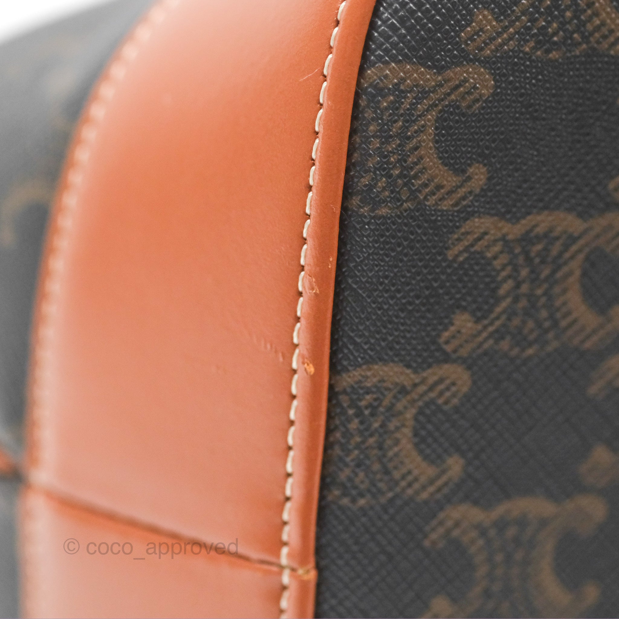 Celine Medium Triomphe Canvas Bucket Bag in Tan Calfskin Leather - Perfect for Work, Travel & Everyday Use