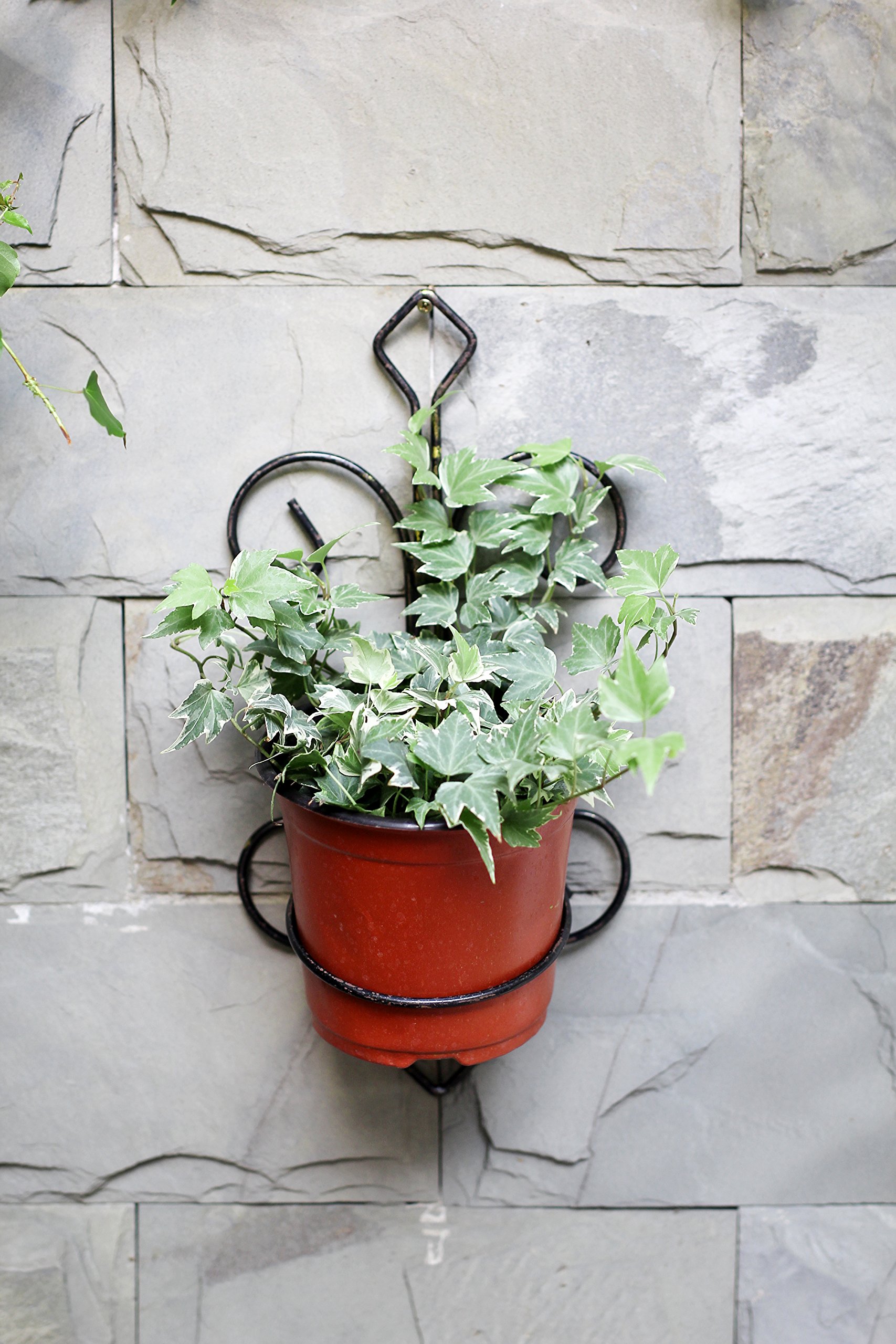 Ore International LB-1717 Hanging Wall Planter - Black & Gold Modern Decorative Flower Pot for Indoor/Outdoor Plants | Perfect for Home, Garden, Patio, and Balcony Decor