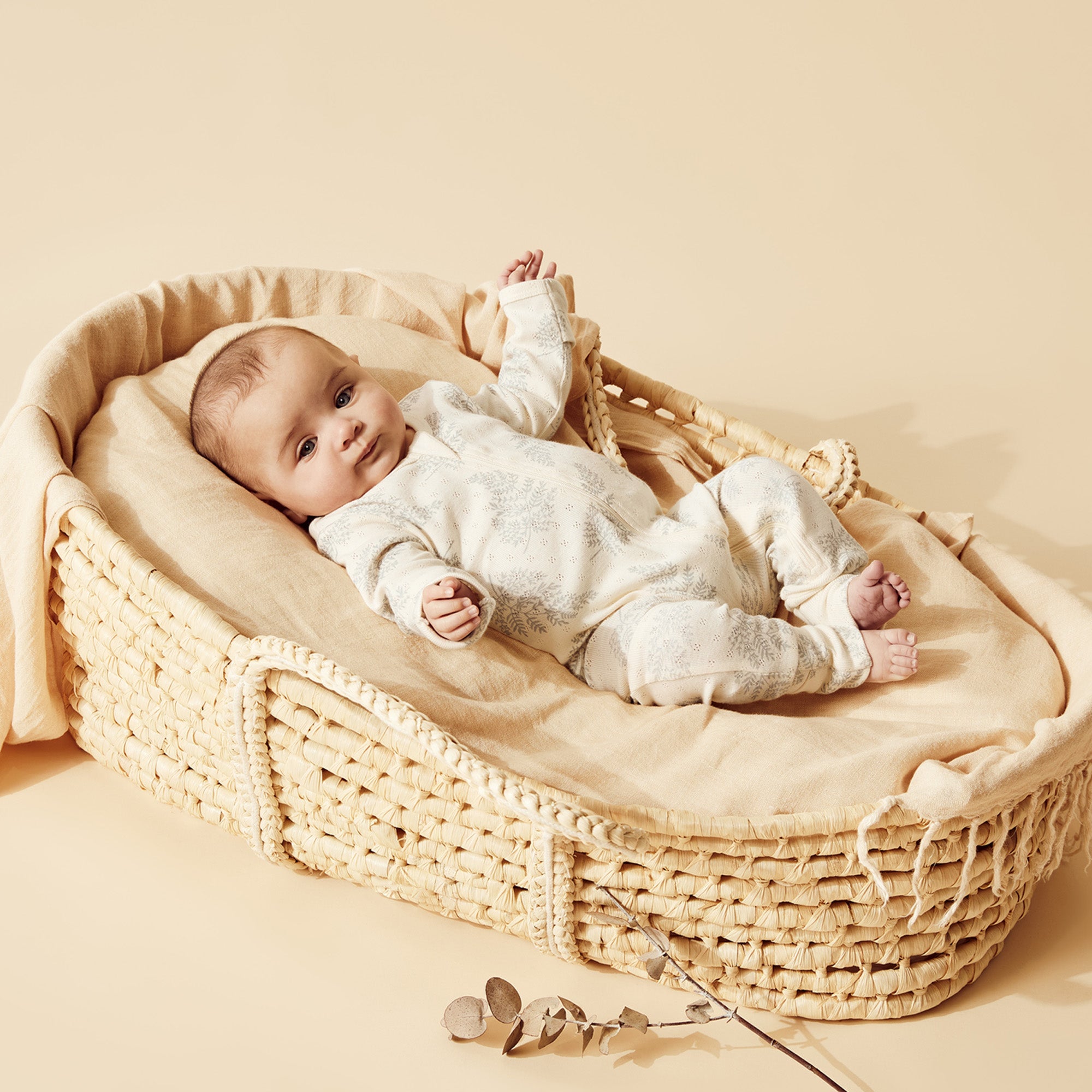 Forever Ferns Organic Cotton Baby Zipsuit with Feet - Soft & Breathable Pointelle Knit for Newborns & Infants - Perfect for Sleepwear, Playtime & Everyday Comfort