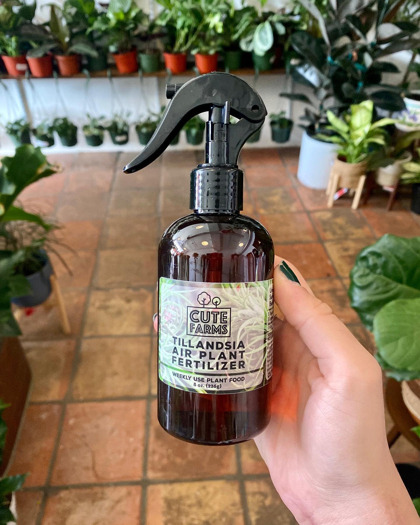 Cute Farms Tillandsia Air Plant Fertilizer - Gentle Weekly Use Plant Food with Care Guide | 8 oz. Spray Bottle for Healthy Growth | Perfect for Home, Office & Terrarium Decor