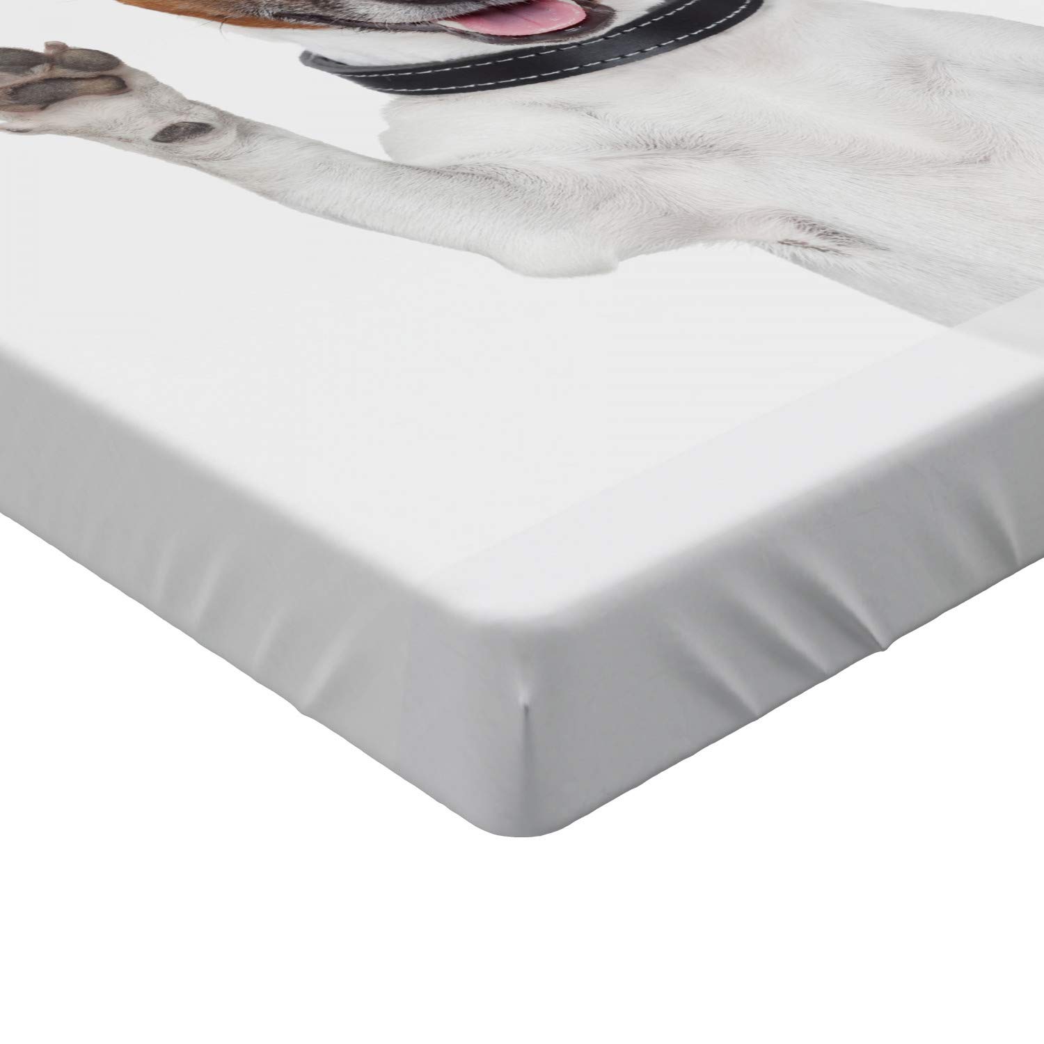 Ambesonne Jack Russell Fitted Sheet - Dog Lover Design, Twin XL, Brown/Black/White for Cozy Bedroom