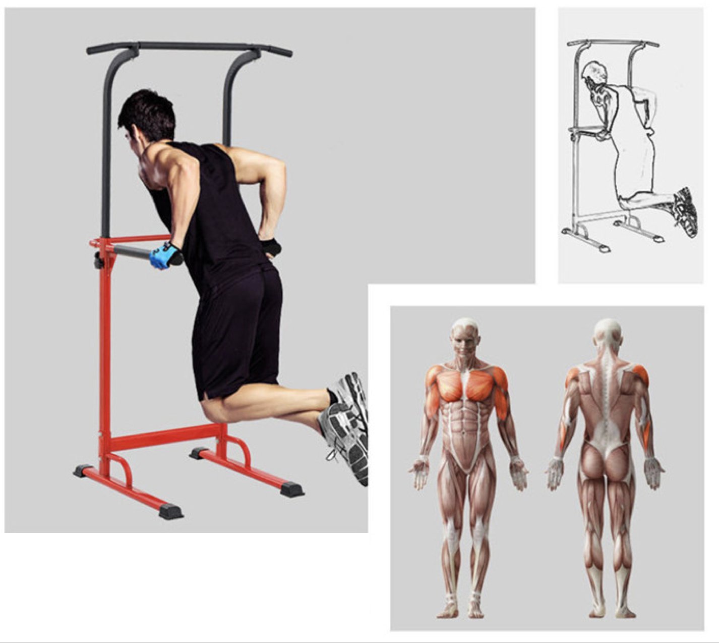 Adjustable Pull Up Bar for Home Gym - Fitness Dip Station with Roman Chair - Perfect for Strength Training & Bodyweight Exercises