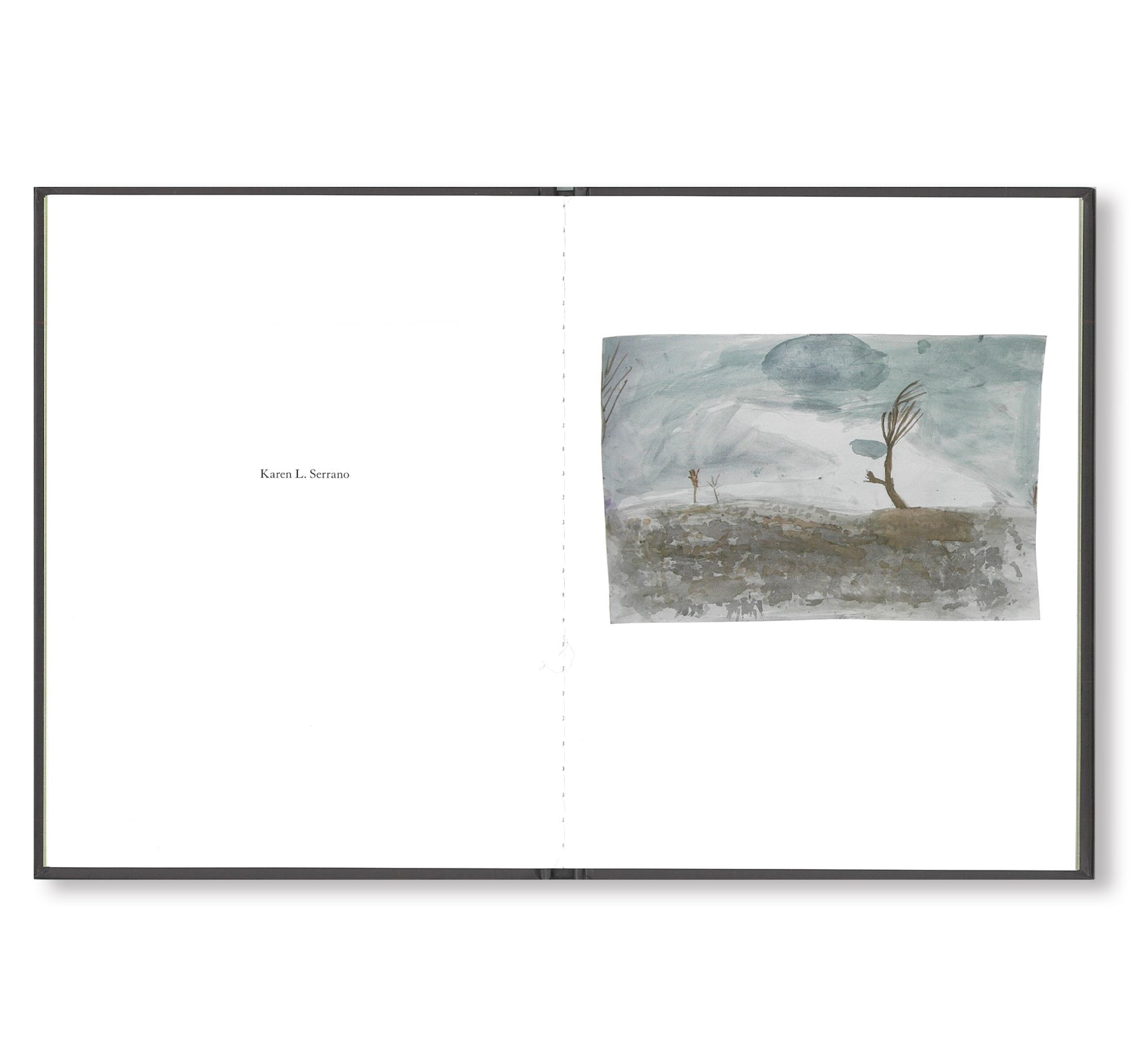 Todd Hido's Cracked Tree - ONE PICTURE BOOK #59 Fine Art Photography Book | Landscape Photography, Contemporary Art Book for Collectors & Decor | Perfect for Home Decor, Office Display & Art Gifts