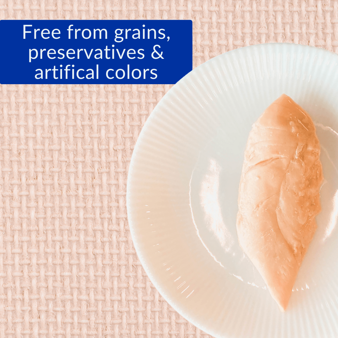 Inaba Grilled Chicken Cat Treats in Chicken Broth - Grain-Free, Natural Protein Snacks for Cats - Perfect for Training, Rewards & Bonding with Your Feline Friend