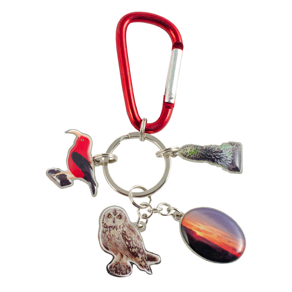 Haleakalā National Park Keychain - Durable Metal Charm for Travel Enthusiasts | Perfect for Backpacks, Luggage & Gifts
