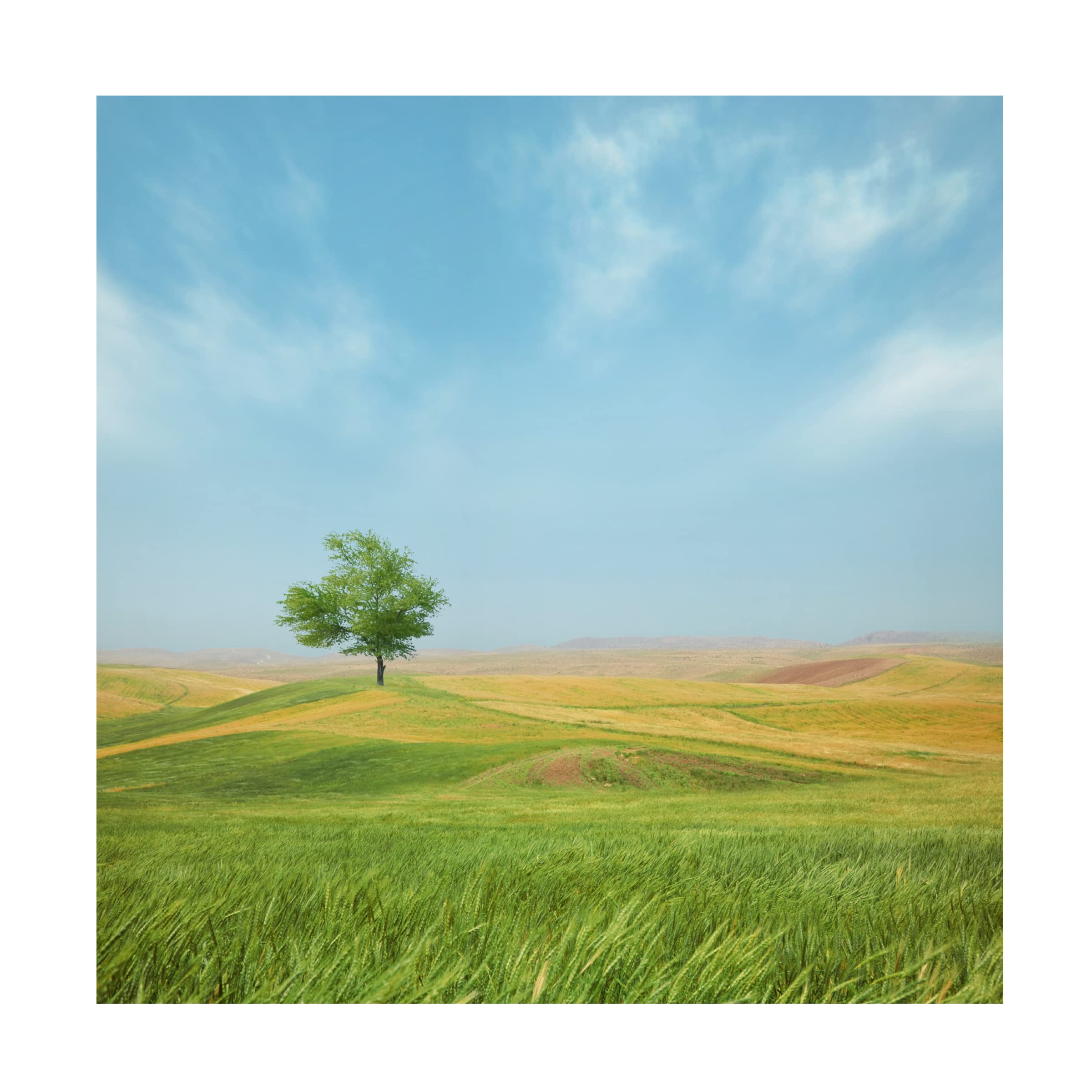 Trademark Fine Art 'Everything Is Good' Canvas Wall Art Print by Hossein Zare - Modern Abstract Painting for Living Room, Bedroom & Office Decor