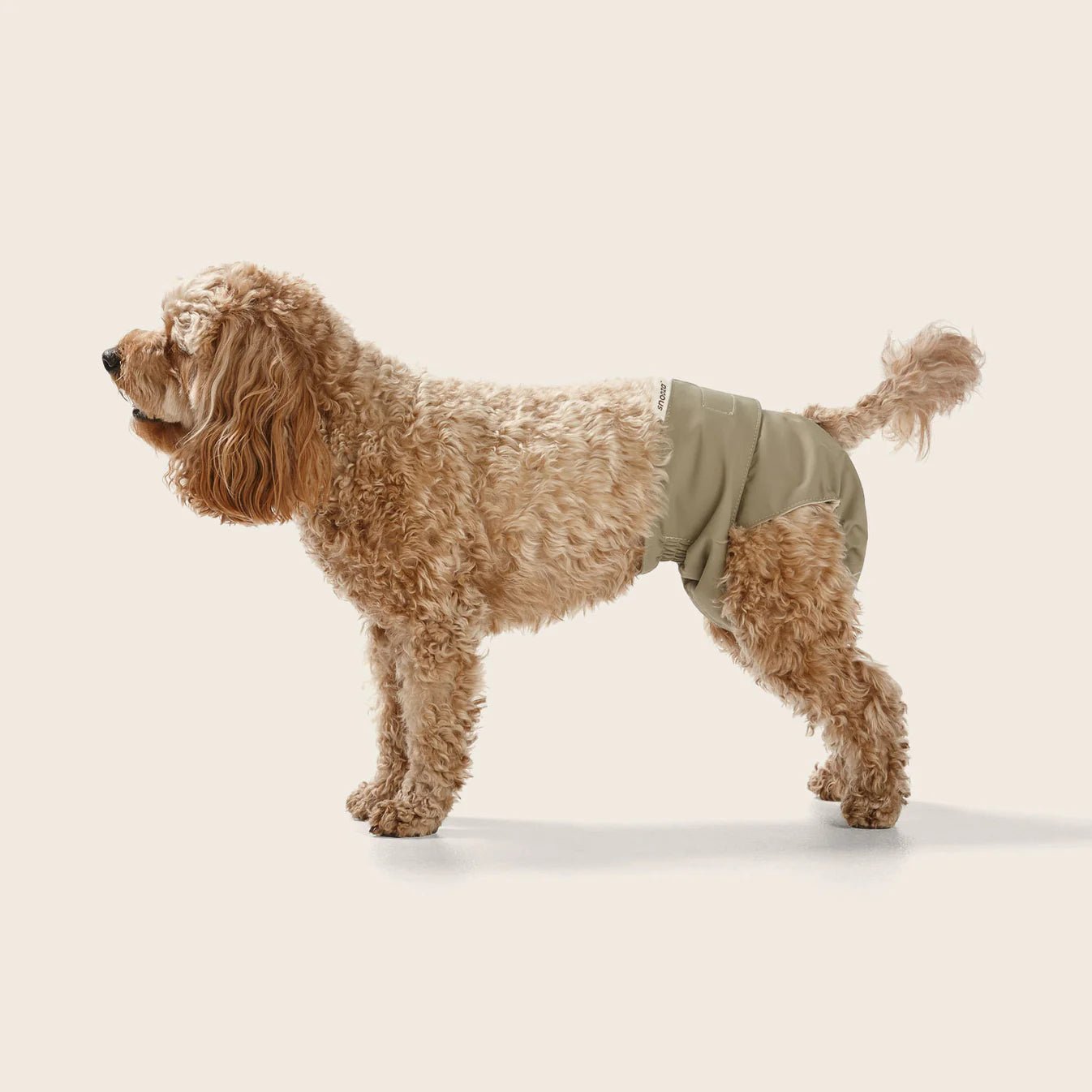 Washable Female Dog Diapers - Reusable Twin Pack for Incontinence & Heat, Perfect for Indoor Use & Travel