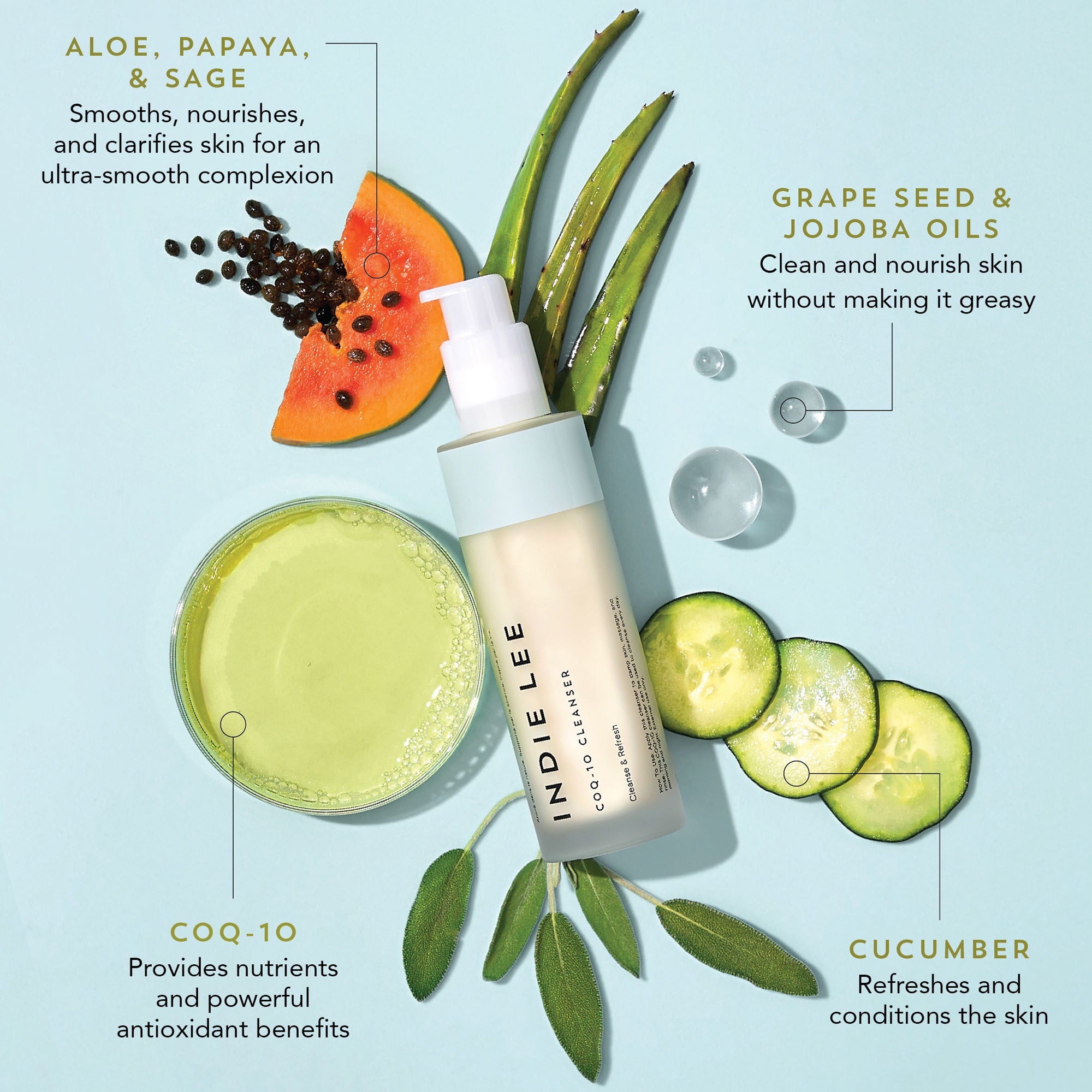 Indie Lee CoQ10 Facial Cleanser - Gentle Antioxidant Face Wash for All Skin Types - Perfect for Daily Skincare Routine & Anti-Aging Regimen