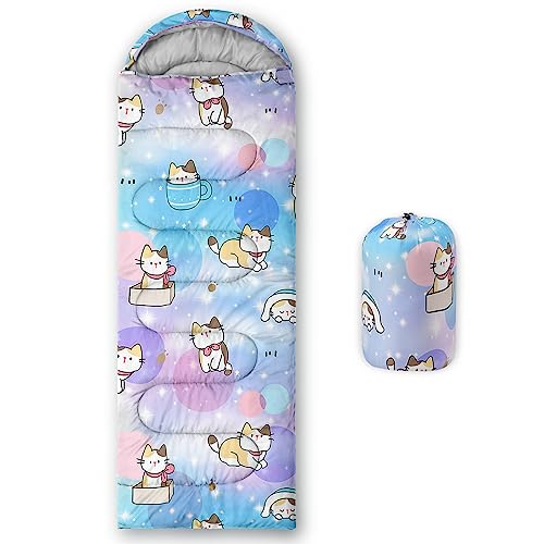 Cat Paper box Shiny 9