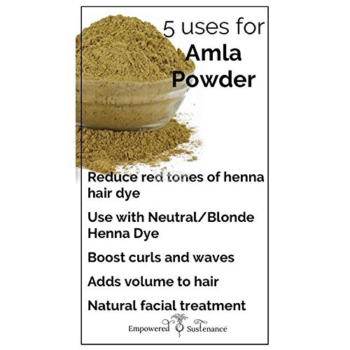 Premium Organic Amla Powder for Hair Growth (600g) - Natural Ayurvedic Treatment for Stronger, Healthier Hair | Perfect for DIY Hair Masks, Oils & Scalp Treatments