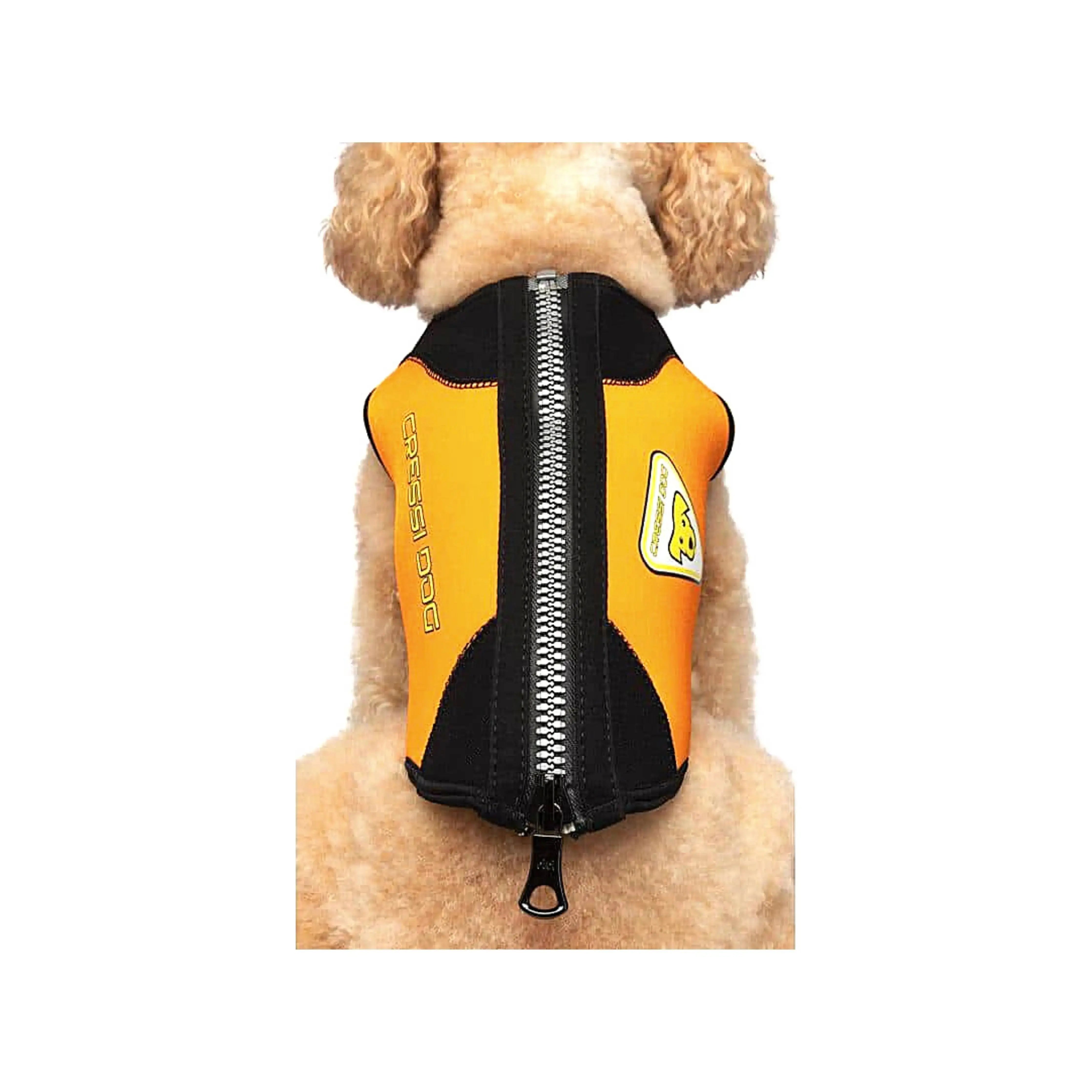 CRESSI Small Dog Wetsuit for Swimming & Water Sports - Neoprene Pet Wetsuit for Beach, Pool & Outdoor Adventures