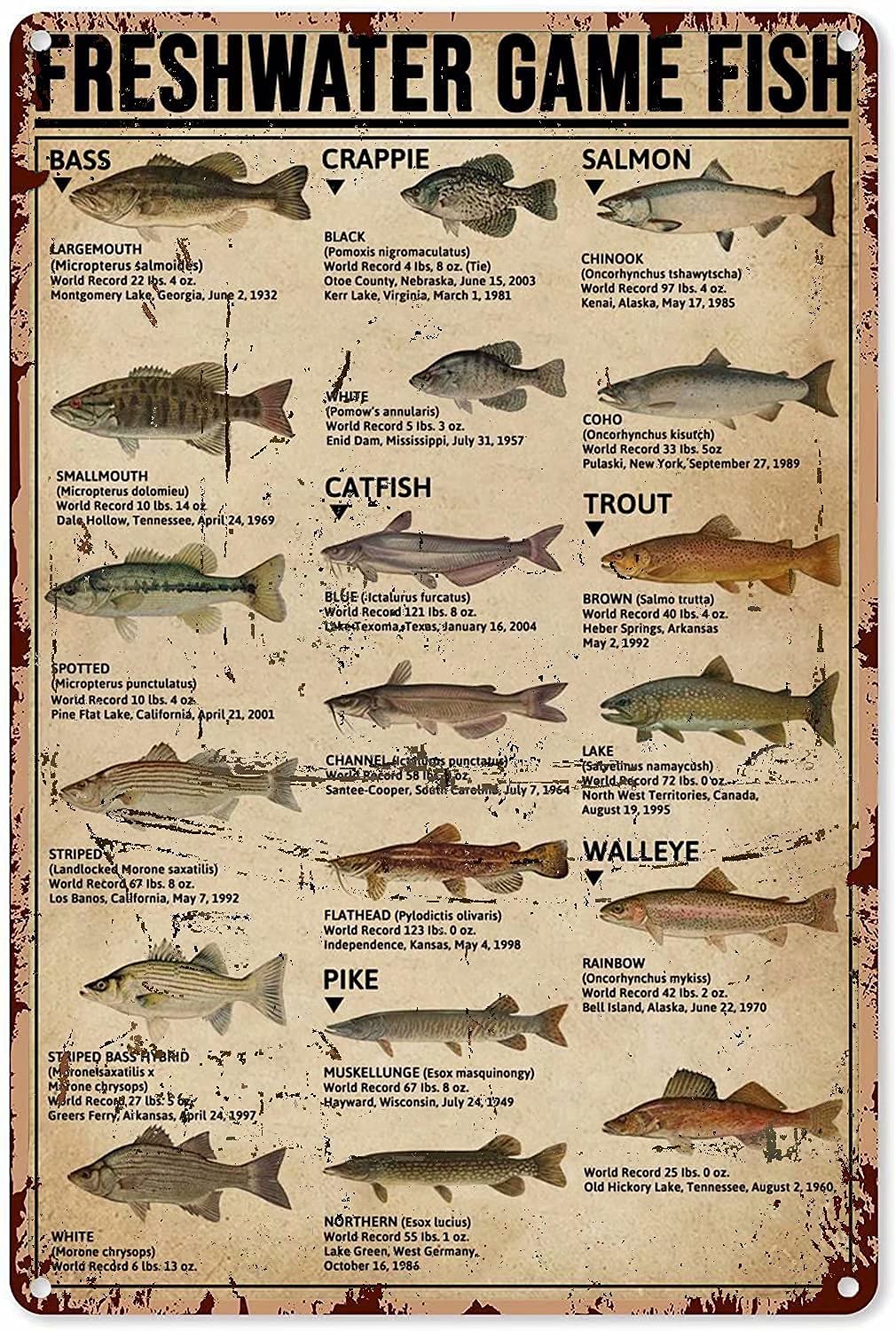 Freshwater Game Fish Aluminum Metal Sign - 12x17 Inch Wall Decor Poster for Home, Bedroom, Kitchen, Bar & Cafe | Perfect for Fishing Enthusiasts & Rustic Interior Design