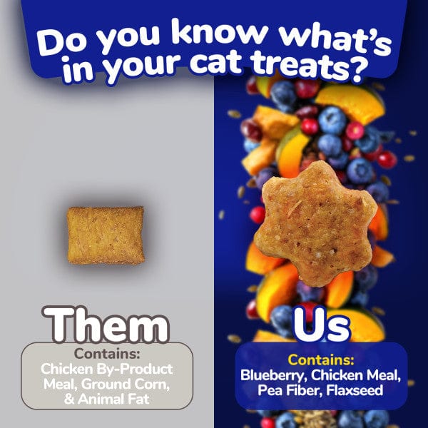 Fruitables Chicken Flavor with Blueberry Cat Treats - Healthy Natural Snacks for Cats - Perfect for Training, Rewards & Bonding with Your Feline Friend