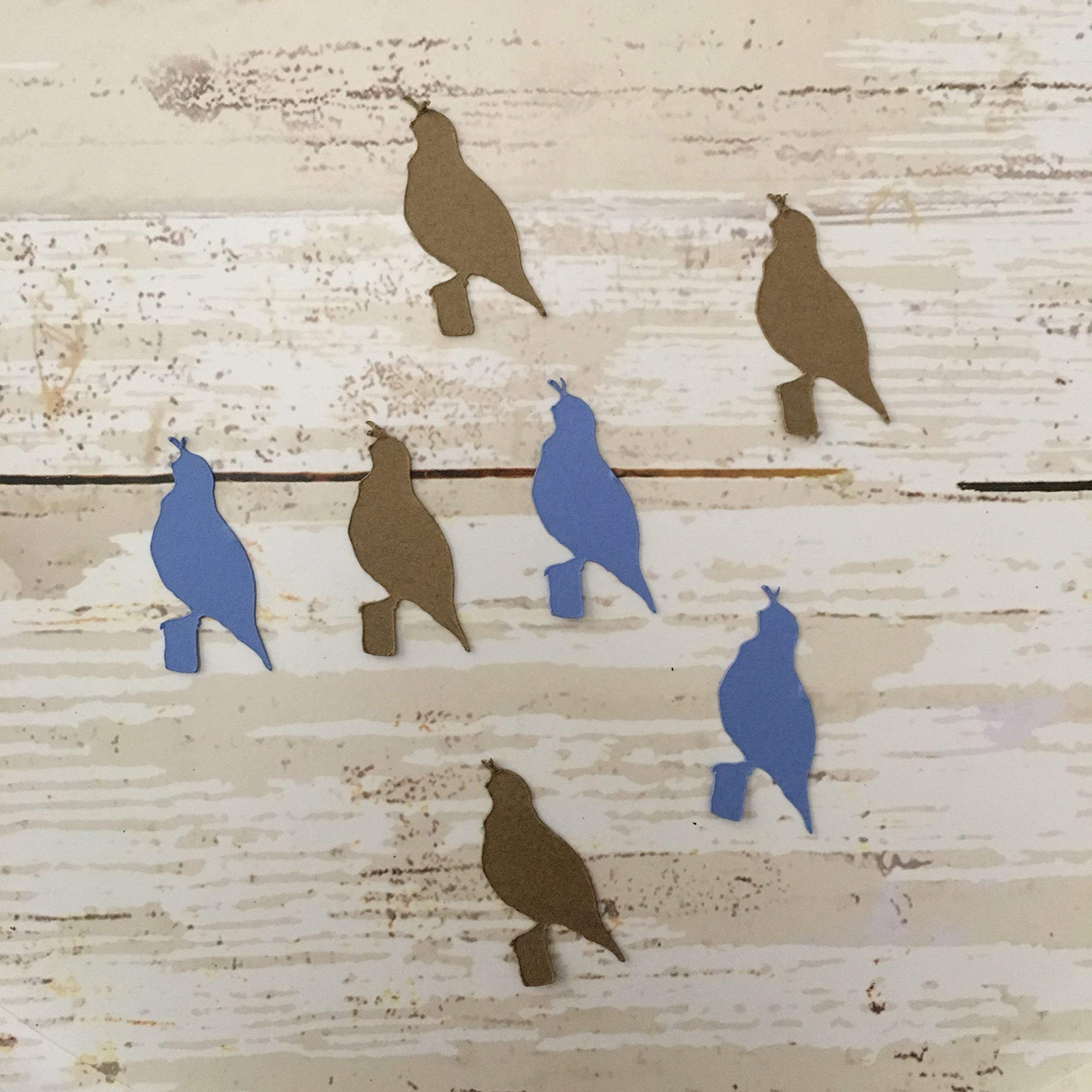 Quail Confetti - Premium Bird Party Decorations & Animal Theme Supplies | Quail Cutouts, Table Scatter for Baby Showers, Weddings & Farmhouse Events