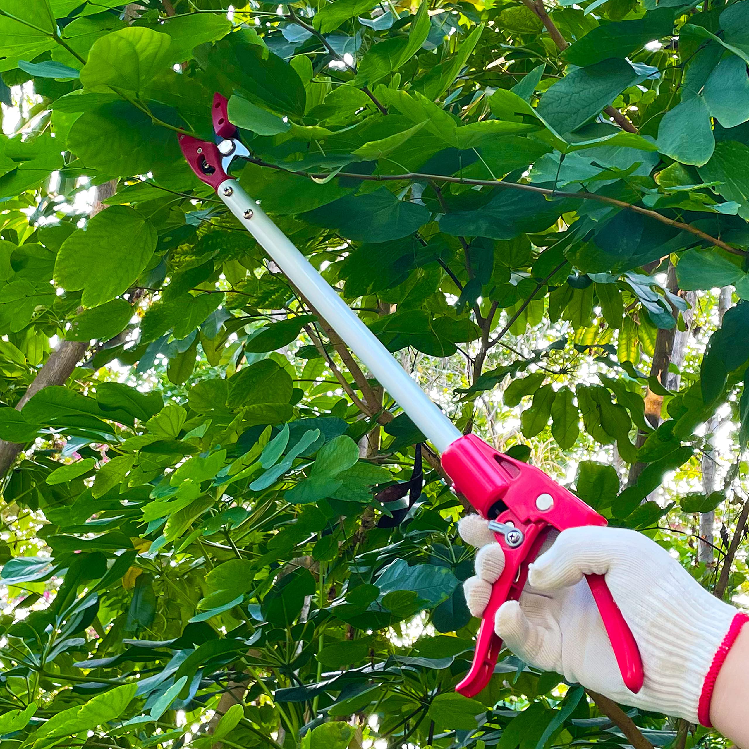 **2 Foot Pole Pruner & Tree Trimmer – Lightweight Aluminum Long Reach Pruning Shears with Cut-and-Hold Function – Perfect for Fruit Picking, Branch Lopping & Garden Maintenance**