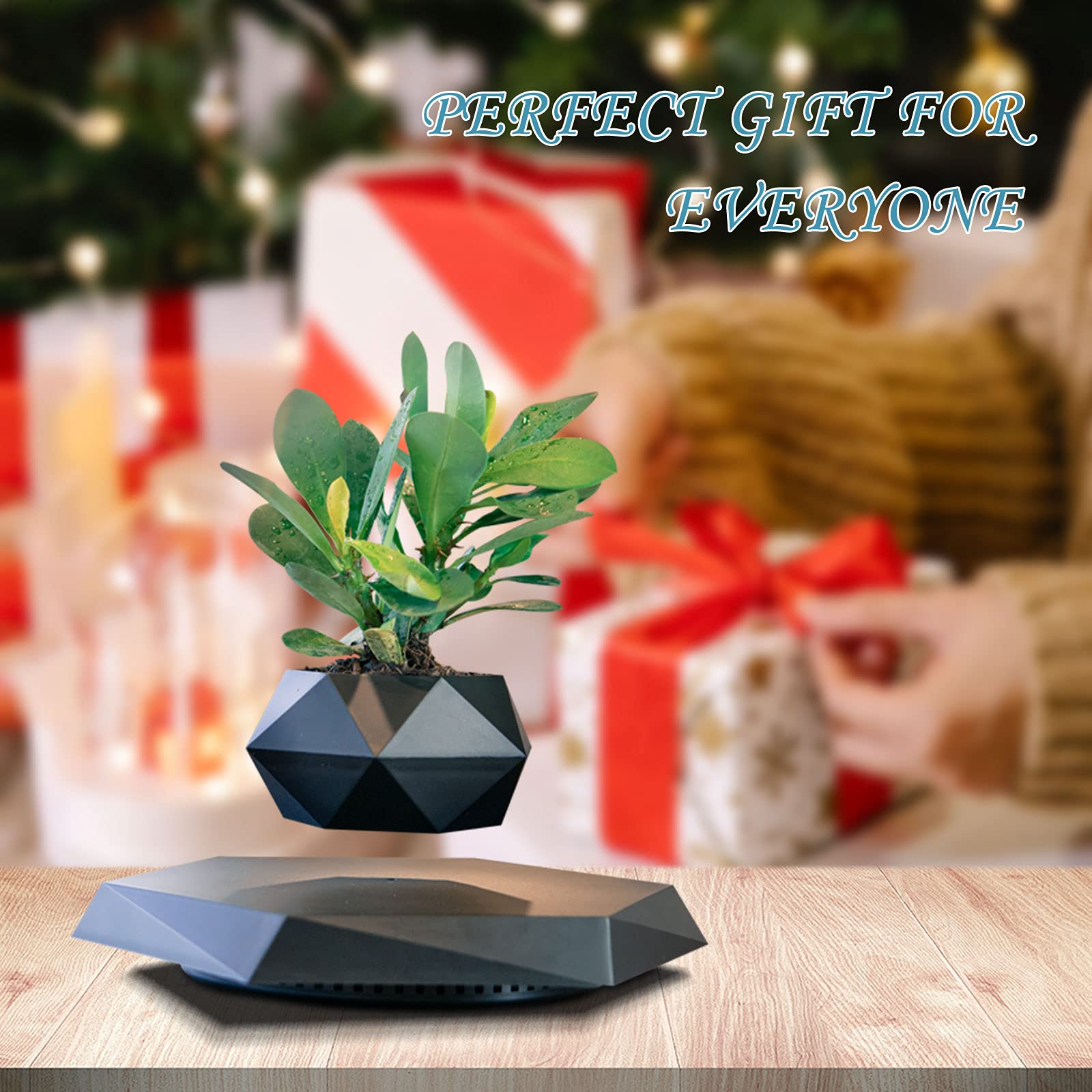 Magnetic Levitating Plant Pot - Floating Rotating Flower Planter for Succulents, Home, Office & Desk Decor (Black) | Perfect for Living Room, Bedroom & Workspace Decorations