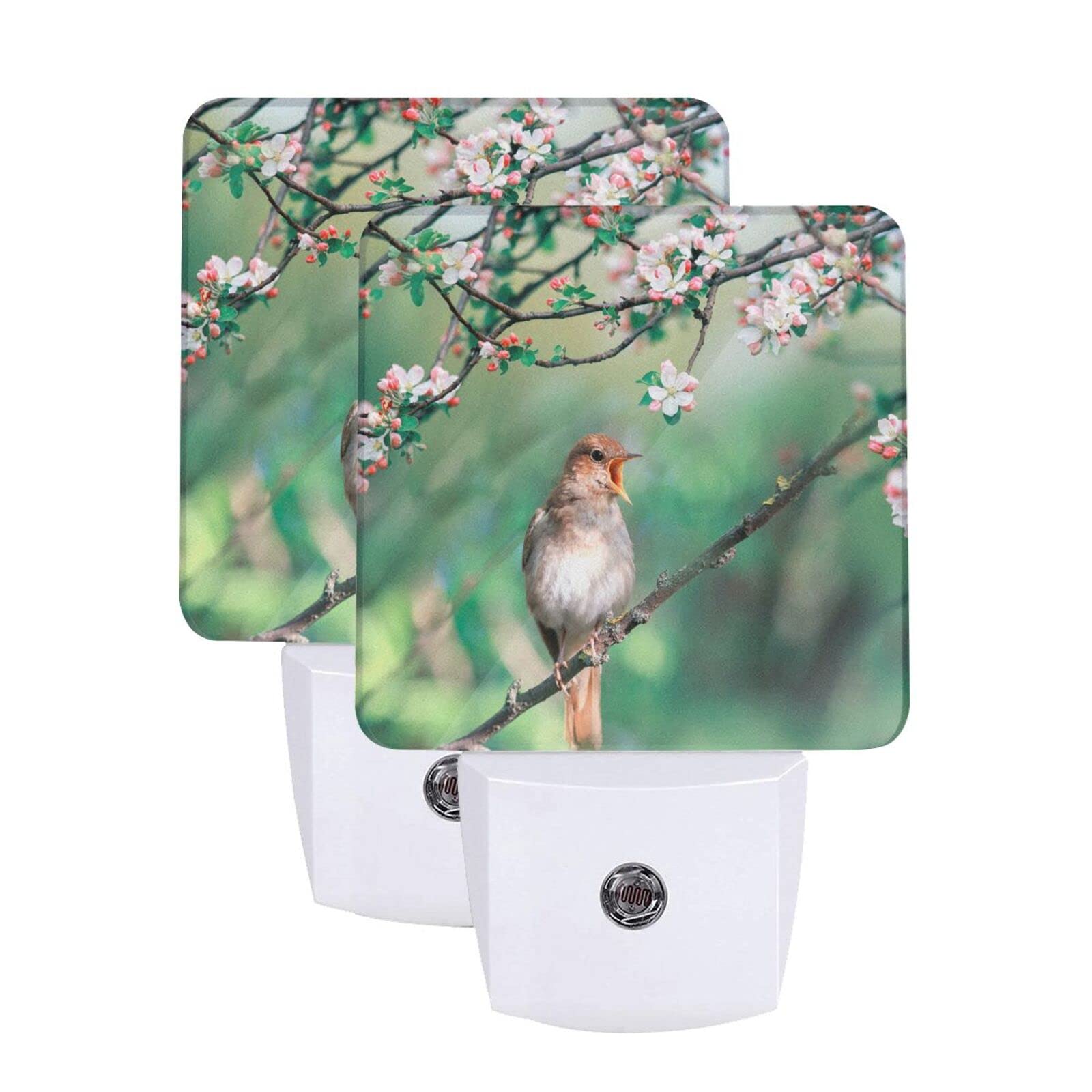 2-Pack Spring Nightingale Bird & Flowers LED Night Lights - Auto Dusk to Dawn Sensor, Plug-in Night Lamp for Bedroom, Nursery, Kids & Adults - Perfect for Nighttime Safety, Home Decor & Relaxation