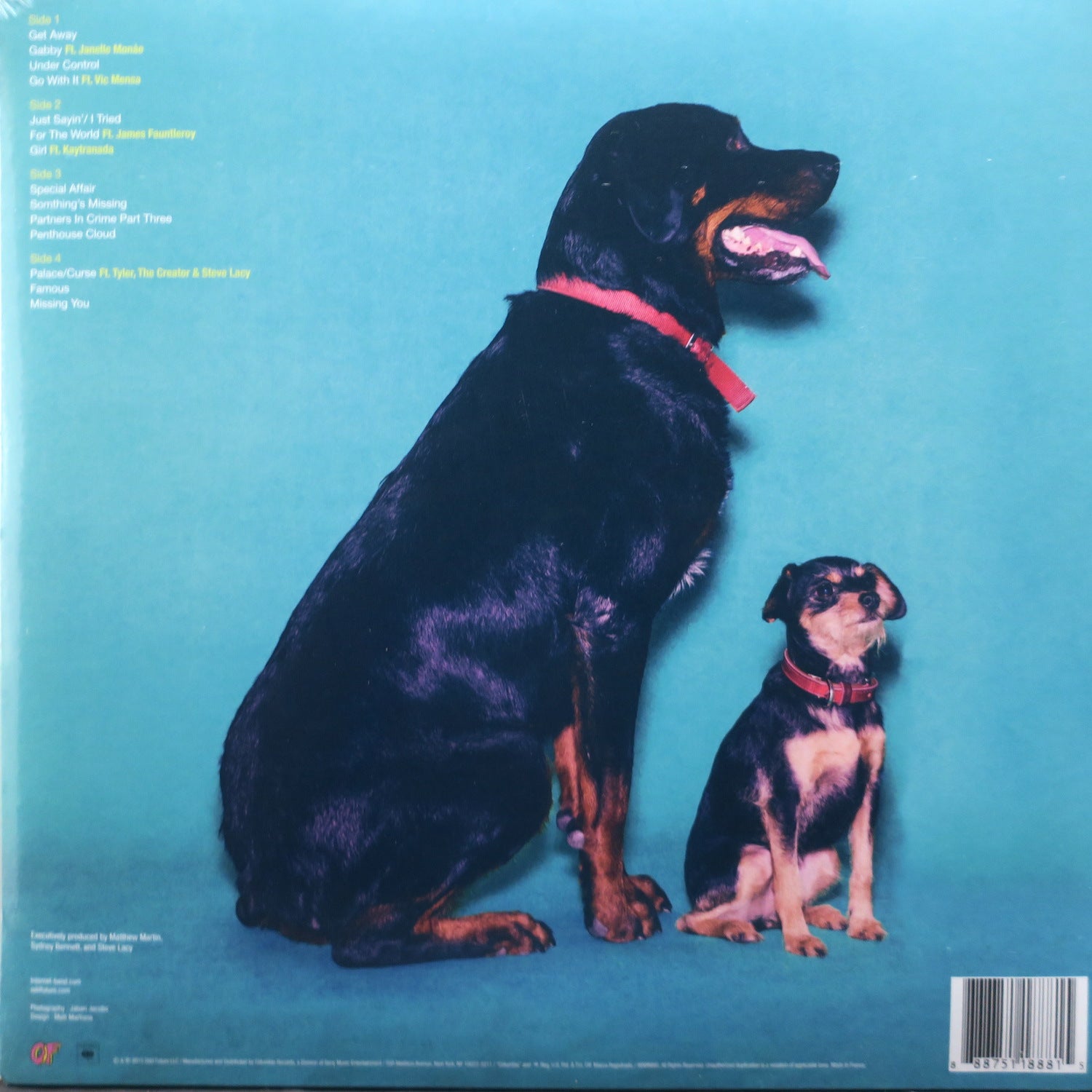 INTERNET 'Ego Death' Vinyl 2LP (2015 R&B Album) - Perfect for Vinyl Collectors & R&B Music Lovers