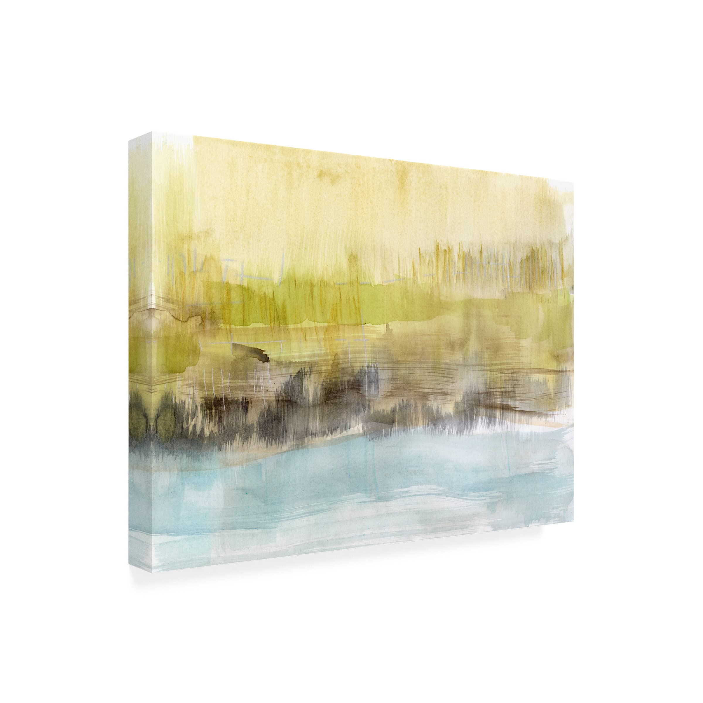 Trademark Fine Art 'Feathered Fields II' Canvas Wall Art by Jennifer Goldberger - Nature-Inspired Home Decor for Living Room, Bedroom & Office