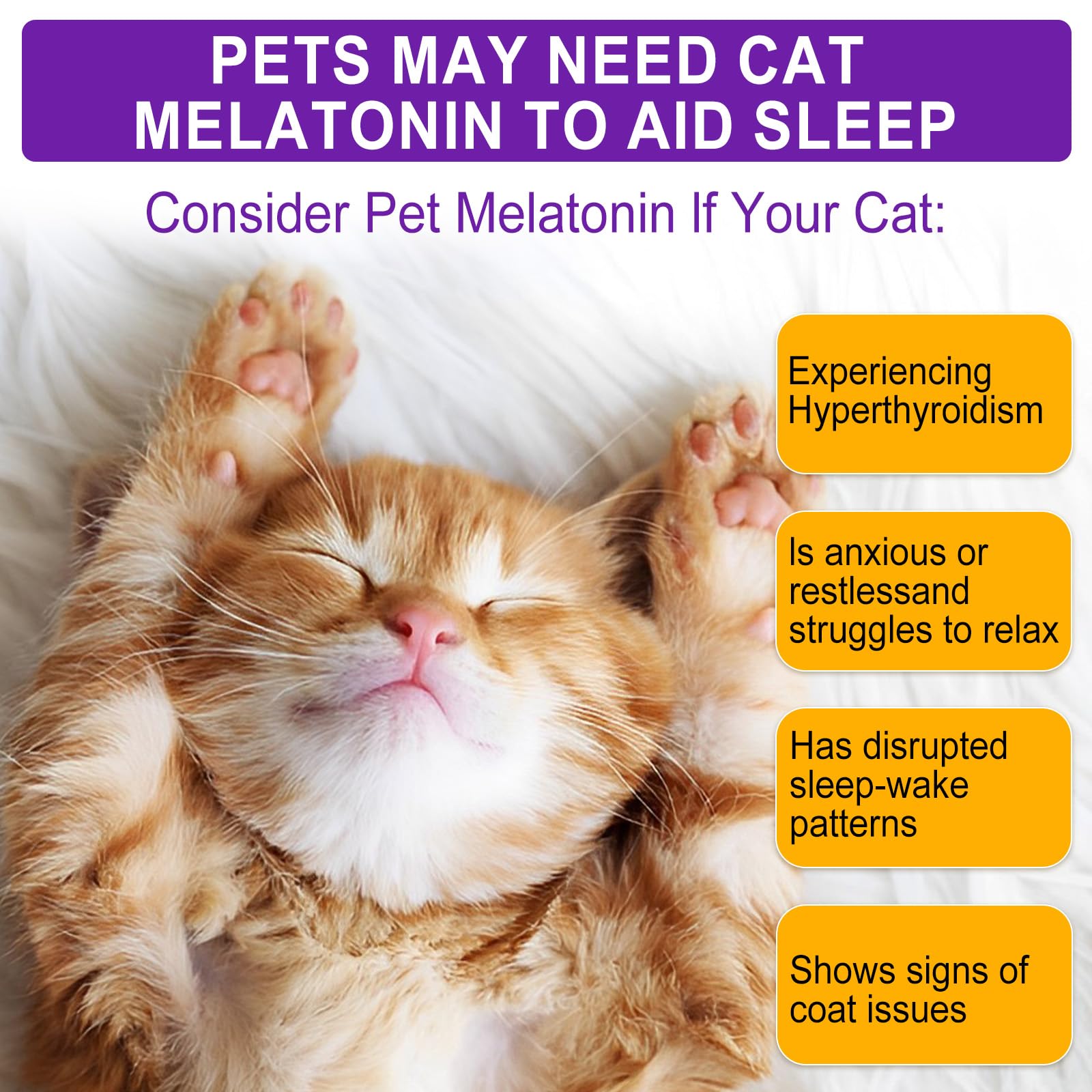 Veterinarian-Recommended Cat Melatonin for Anxiety Relief & Calming - Natural Sleep Aid for Cats to Support Restful Sleep - Perfect for Travel, Vet Visits & Stressful Situations (1 Count)
