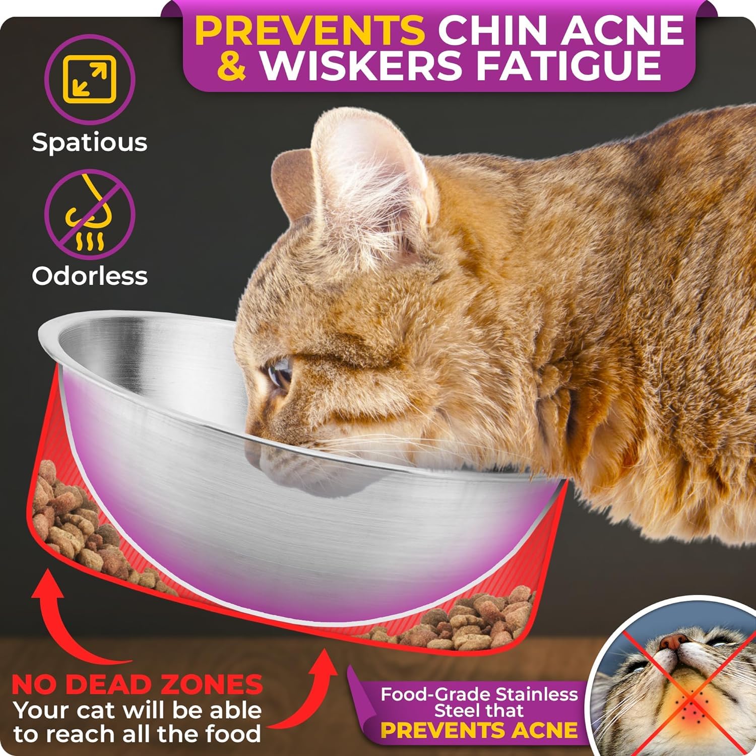Elevated Cat Bowls for Indoor Cats - Raised Cat Food Dishes with Stand for Comfortable Feeding, Perfect for Small Dogs & Kittens (Home Use, Kitchen, Living Room)