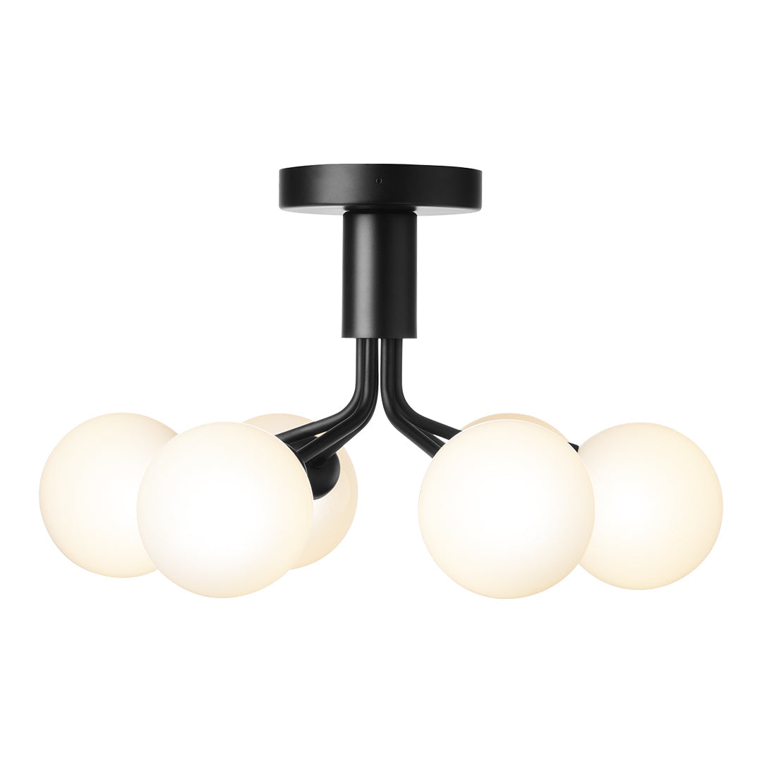Apiales 6-Light Modern Ceiling Light Fixture - Elegant Flush Mount Lighting for Living Room, Bedroom, or Dining Room