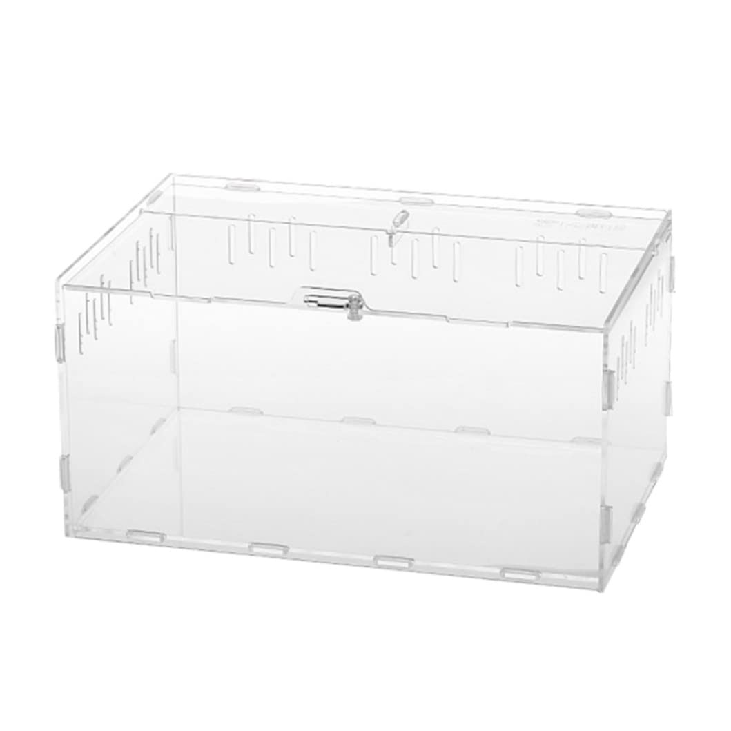 Jorzer Acrylic Reptile Terrarium - Transparent Climbing Pet Habitat for Spiders, Lizards & Small Animals | Ideal for Feeding, Breeding & Display in Home or Office