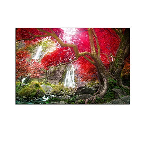 Red Tree Waterfall