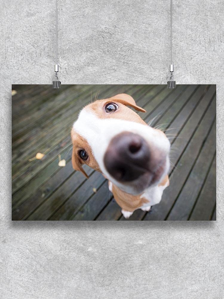 A Tail of Love and Laughter: The Perfect Gift for Pet Lovers