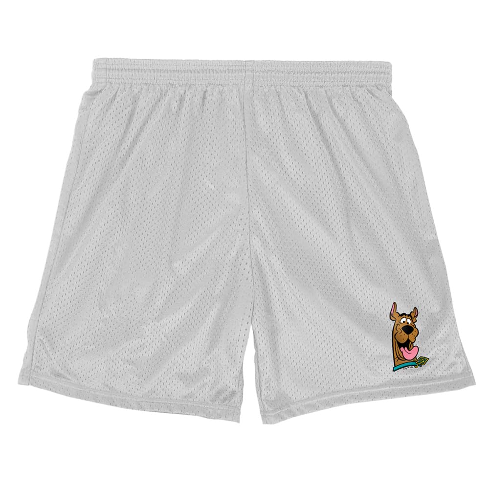 **Popfunk Scooby-Doo Collection Men's Lined Mesh Shorts - Comfortable & Breathable for Summer, Gym, and Casual Wear**