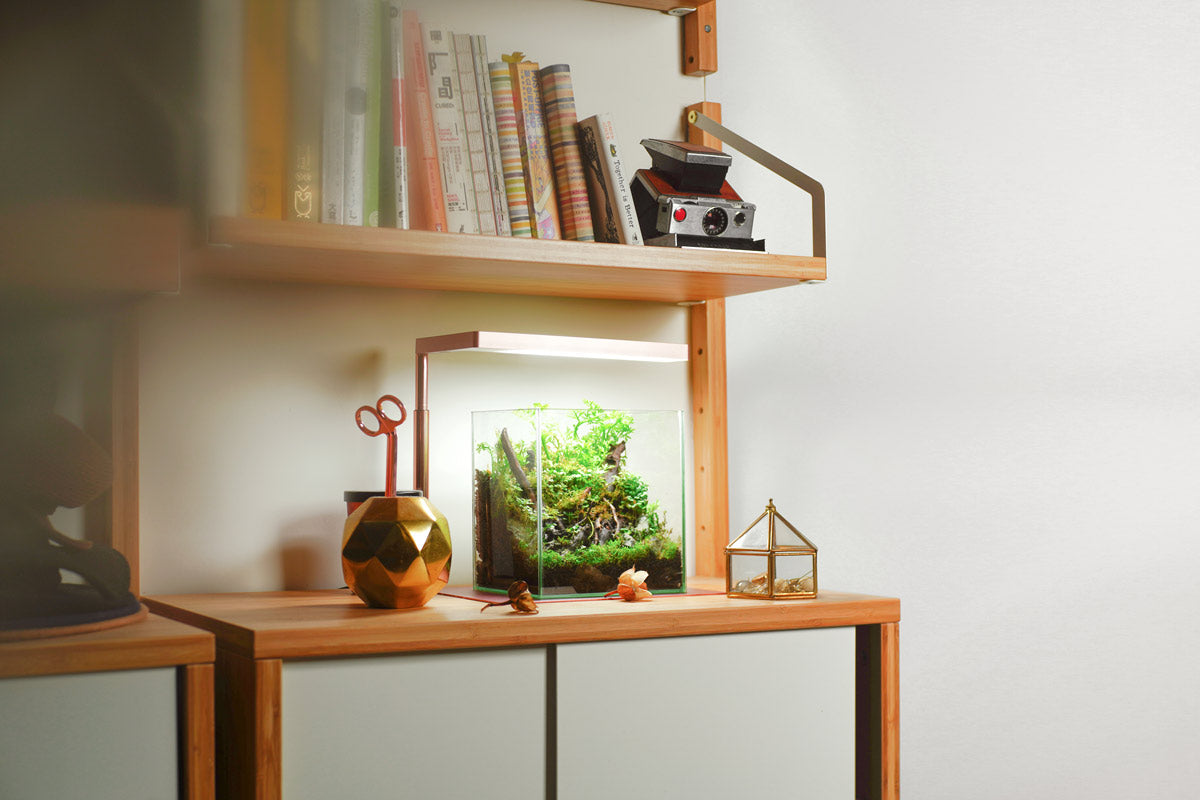 ONF Flat Nano Stand LED Light - Rose Gold | Modern Desk Lamp for Home & Office | Perfect for Reading, Working & Decor