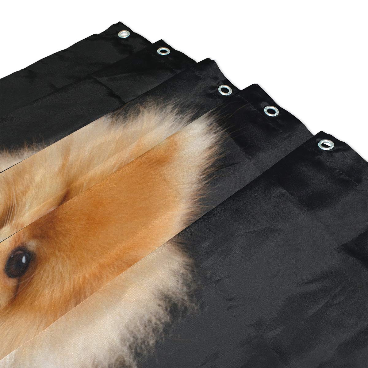 ALAZA Pomeranian Dog Shower Curtain 66 x 72 Inch - Waterproof Polyester Bathroom Decor with Hooks - Perfect for Pet Lovers' Bathrooms & Themed Home Decor